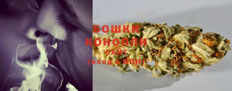 где найти наркотики  Мосальск  Конопля SATIVA & INDICA 